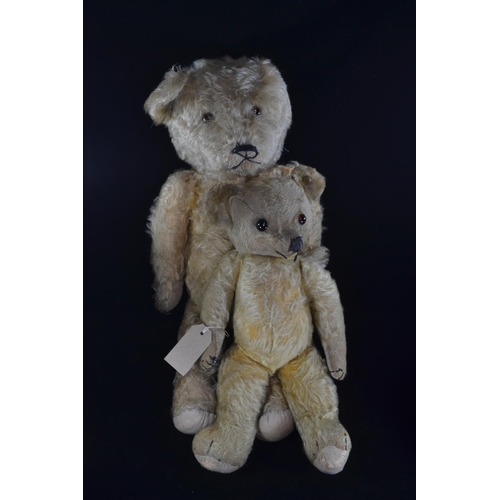 548 - Merrythought jointed teddy bear circa. 1930's with original tag to foot, golden mohair, glass eyes, ... 