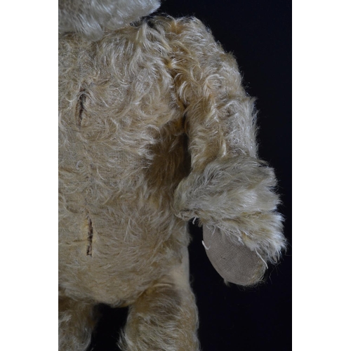 548 - Merrythought jointed teddy bear circa. 1930's with original tag to foot, golden mohair, glass eyes, ... 