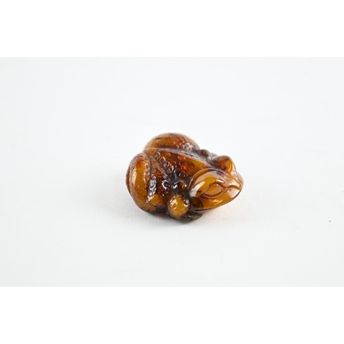 480 - Carved amber netsuke of a toad. Signed to base. 40mm long