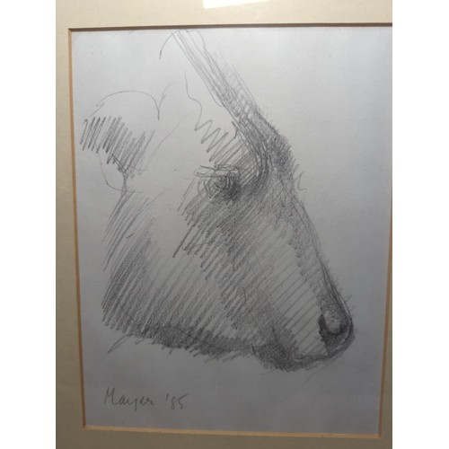 628 - Charlotte Mayer ARBS ARCA- Two signed framed sketches of cows. 26.6cmx 31.5cm & 21.5cm x 26.5cm ... 