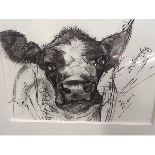 614 - Framed & mounted artwork of a cow, charcoal, signed Thomas, 76 x 61cm inclusive of frame.