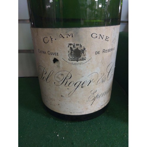 572 - 1959 Pol Roger & Co Champagne bottle (magnum) height 59cm high