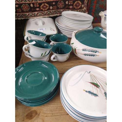 629 - Denby greenwheat, six cups and saucers, serving dishes and three different sizes of plates.