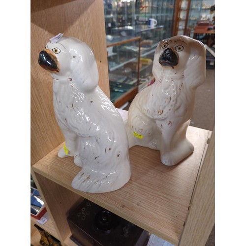 504 - Pair of Staffordshire style dogs