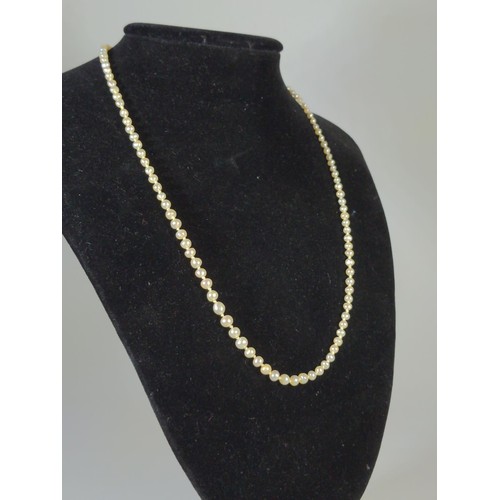 574 - Cultured pearl necklace with a 9ct gold clasp, circumference 475mm