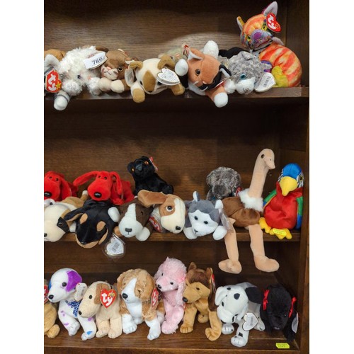 49 x TY Beanie Babies, all appear to have tags