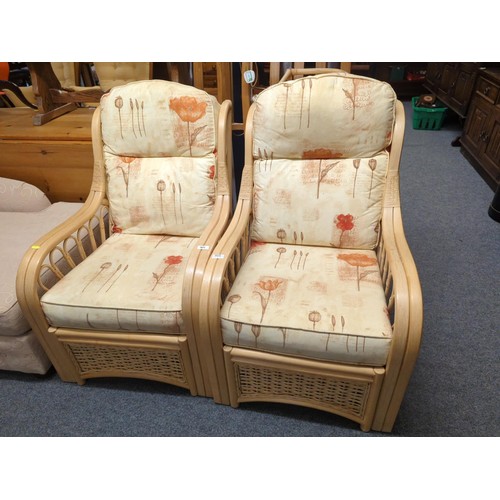 904 - Pair of conservatory arm chairs in cane finish . W63 D82 H90 cm