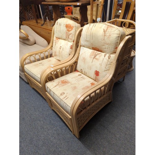 904 - Pair of conservatory arm chairs in cane finish . W63 D82 H90 cm