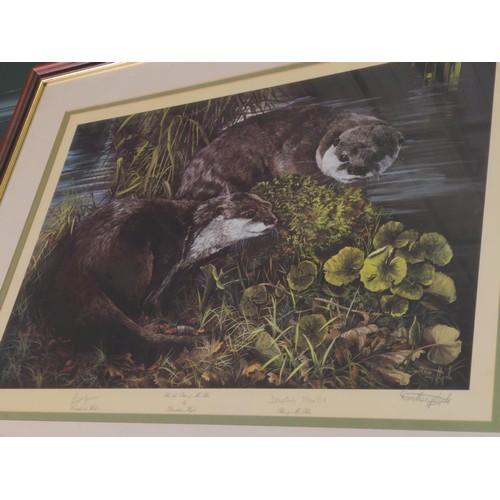 483 - Signed Ltd. ed 284/450 Daphne Neville. Otters at the riverbank. 85cm x 66cm