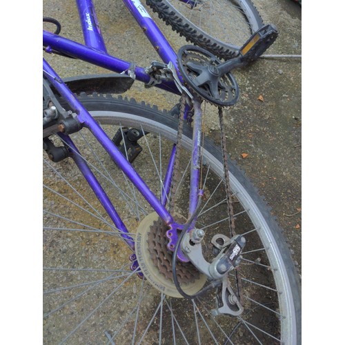 Universal extreme ladies clearance bike