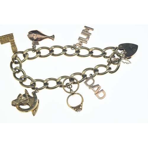 193 - 9ct gold charm bracelet with heart-shaped padlock clasp, suspending four 9ct gold charms and two yel... 