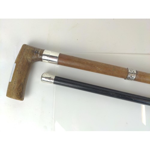 440 - HM silver topped cane and a silver collared walking stick