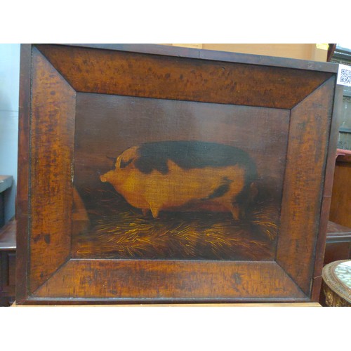 424 - Old English style portrait of a prize pig on a bed of straw. No signature found.  W55 H45cm