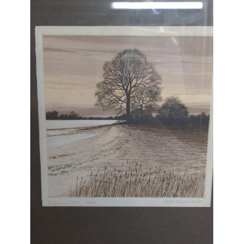 597 - Kathleen Caddick (British 1937 - ) 'Evening Lake', signed limited edition etching 46/150, framed 41 ... 