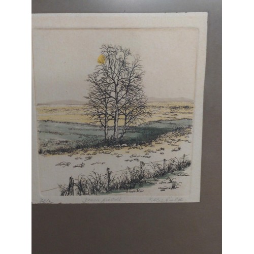 597 - Kathleen Caddick (British 1937 - ) 'Evening Lake', signed limited edition etching 46/150, framed 41 ... 