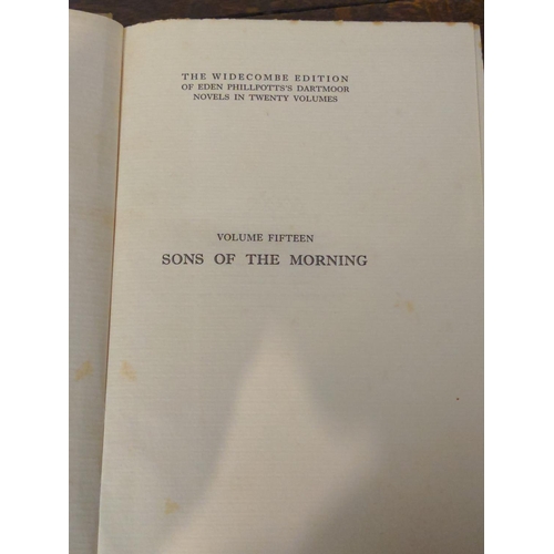 456 - Full set of 20 Widecombe edition of Eden Phillpotts Dartmoor novels inc. The Beacon, Demeters Daught... 