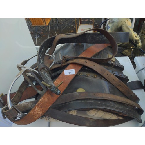 81 - 1 x horse saddle + 2 x cartridge belts + 1 x horse saddle/carrier