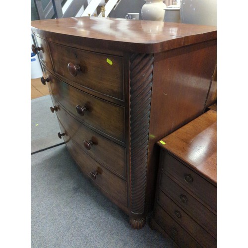 564A - Bow fronted mahogany two over three drawer chest with carved bun feet front and back and original dr... 