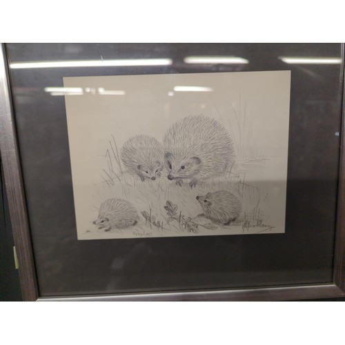 371 - Marjorie Blamey- pencil drawing of hedgehogs & two prints of squirrels and rabbits.