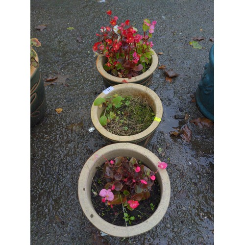 31 - 3 green glazed pots & floral contents