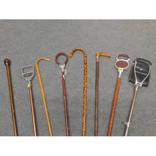 559 - Quantity of walking and shooting sticks, eight in total inc. one with silver collar