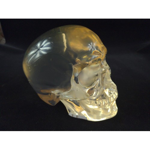 632A - Solid resin life size skull by Design Studio, height 14cm, 2.15kg