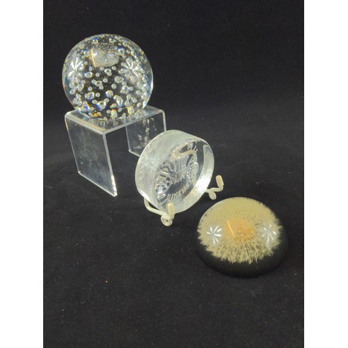 641 - Three paperweights inc. captive bubble, Elizabeth II coronation and a dandelion seed head in resin