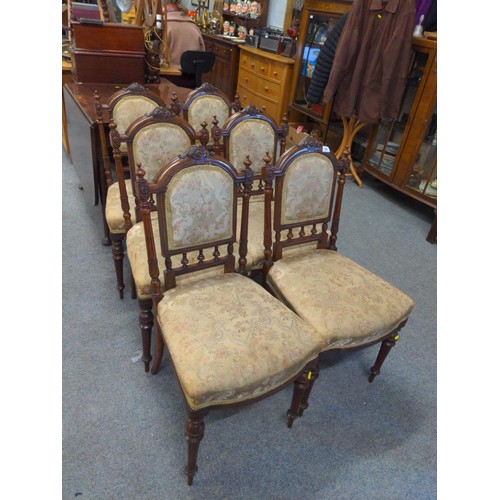 704 - 6 C19 Walnut dining chairs, with reeded supports and finials to backrest outer edge. Horse-hair fill... 