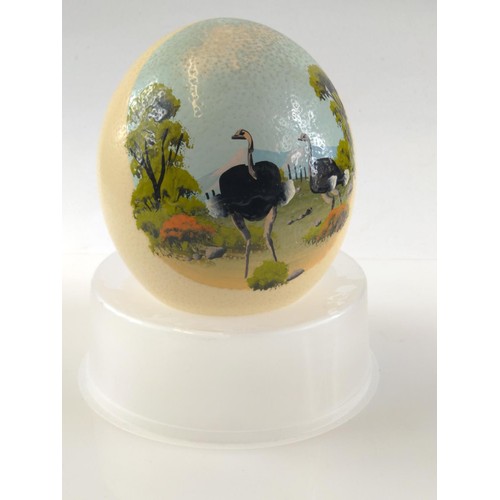 604 - Painted ostrich egg