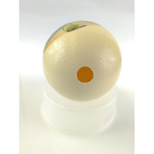 604 - Painted ostrich egg