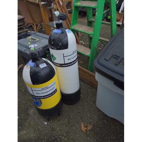 308 - 2 compressed gas bottles. For decorative use only.