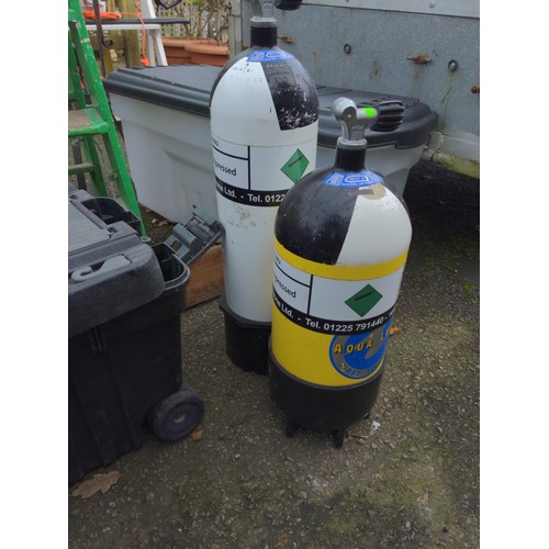 308 - 2 compressed gas bottles. For decorative use only.