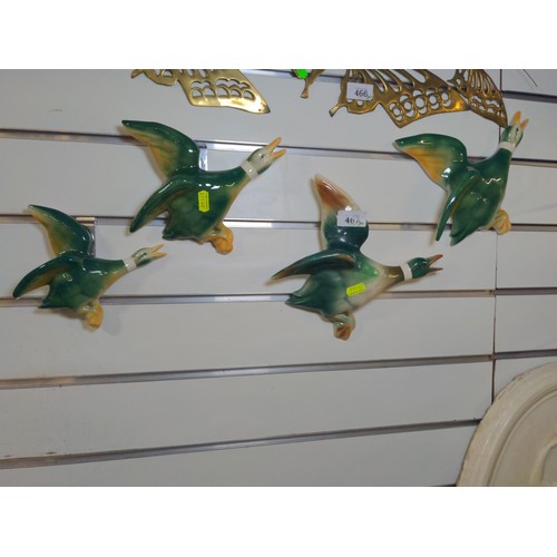 467 - Four ceramic flying mallard ducks. Largest 25cm