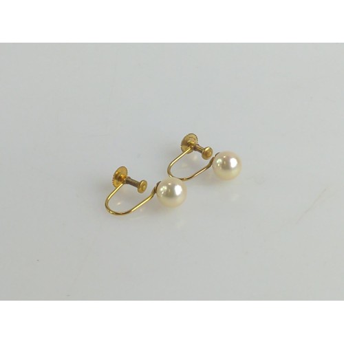 646 - Pair of screw back 9ct gold pearl earrings