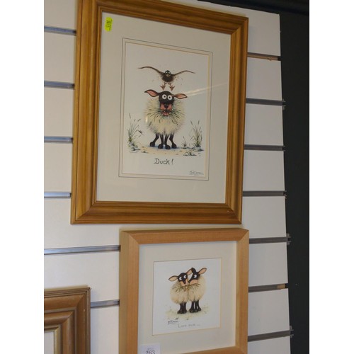 263 - Two Mark Denman sheep prints, largest 35 x 42cm