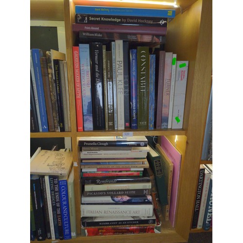 320 - 2 x cubes of books inc popular artists, roden, constable, Hockney etc.