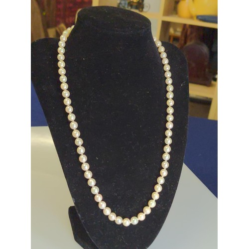 541 - String of cultured pearls on 9ct gold clasp, circumference 50cm