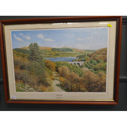 263 - David Young signed prints x 4 Inc Burrator reservoir, Widecombe on the moor, Autumn lane Dartmoor an... 