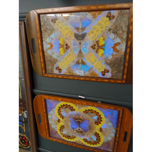 703 - Two butterfly wing trays with inlaid surrounds. 52cm x 33cm.