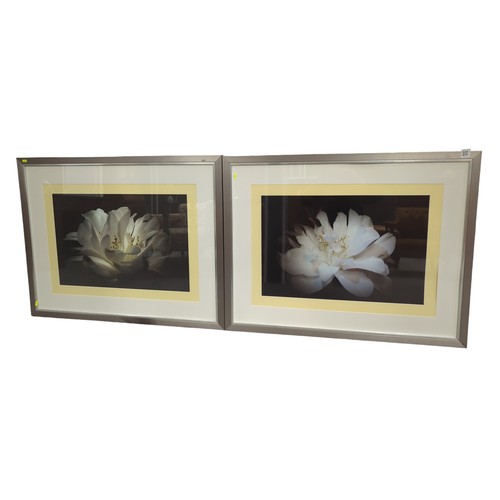 288 - Two large floral prints in silver coloured frames, 111 x 86cm