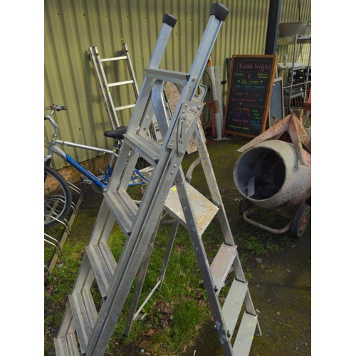 1024 - Small step ladder + extendable ladder 