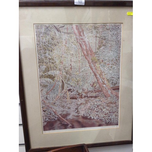 122 - Robin Paris Ltd. Ed. print 1/150. Jungle Stream Taman Negara. Signed and dated 1991. 52 x 63cm