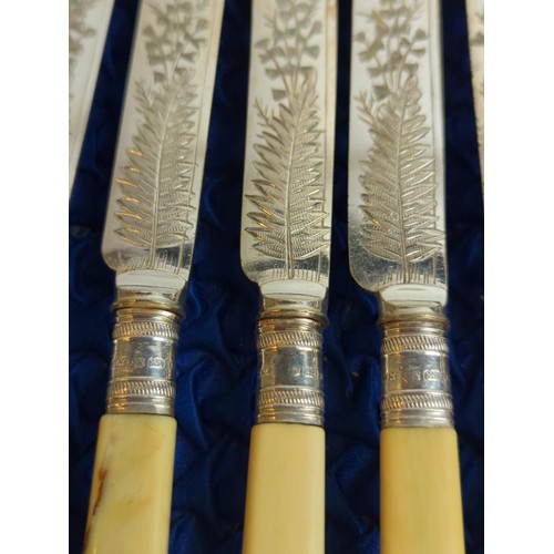 439 - Cased set of twelve Victorian silver collared fruit knives and forks, the silver collars by Wil... 