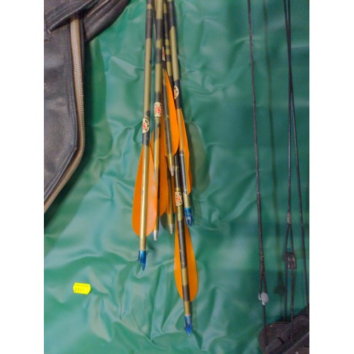 348 - Graphite compound bow, bolts and bag