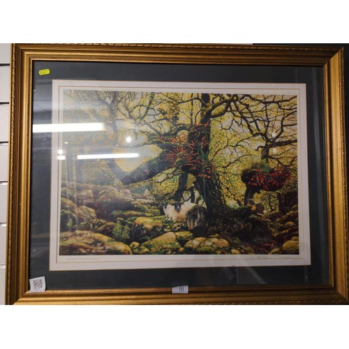 111 - Peter Reading - Signed ltd. Ed.  print. 11/850 Titled Early Summer in Whistmans Wood. 81cm x 64cm