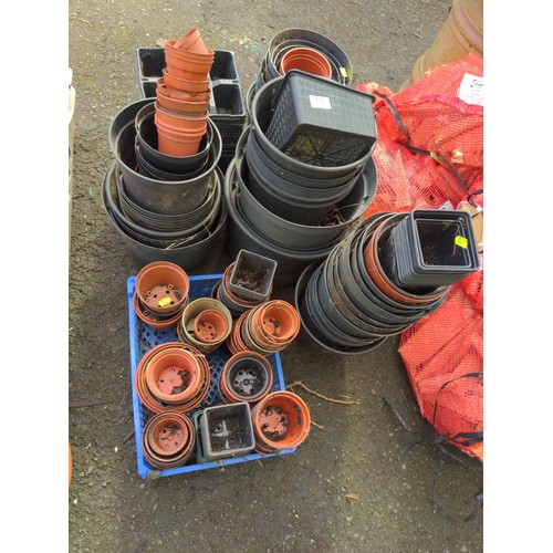 1237 - large quantity of plastic plant pots & trays of various sizes