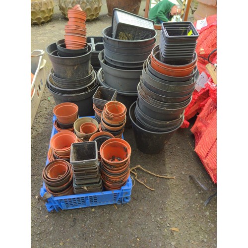 1237 - large quantity of plastic plant pots & trays of various sizes