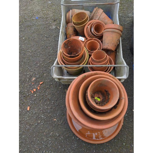 1238 - Quantity of various terracotta pots, a few damaged