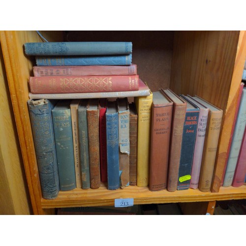 213 - approx 31 hardback books, inc The White Slaves of England & Popular Village Tales of Miss Mitfor... 