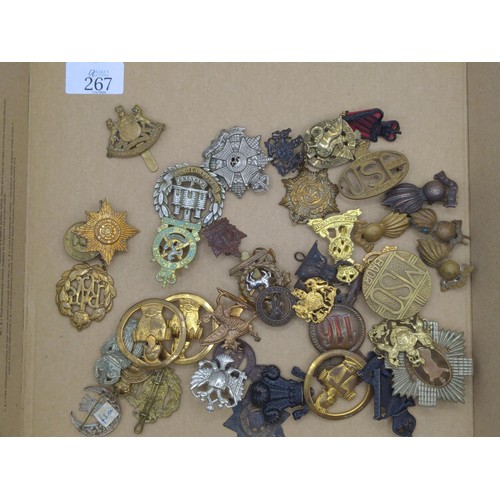 267 - Collection of various military badges